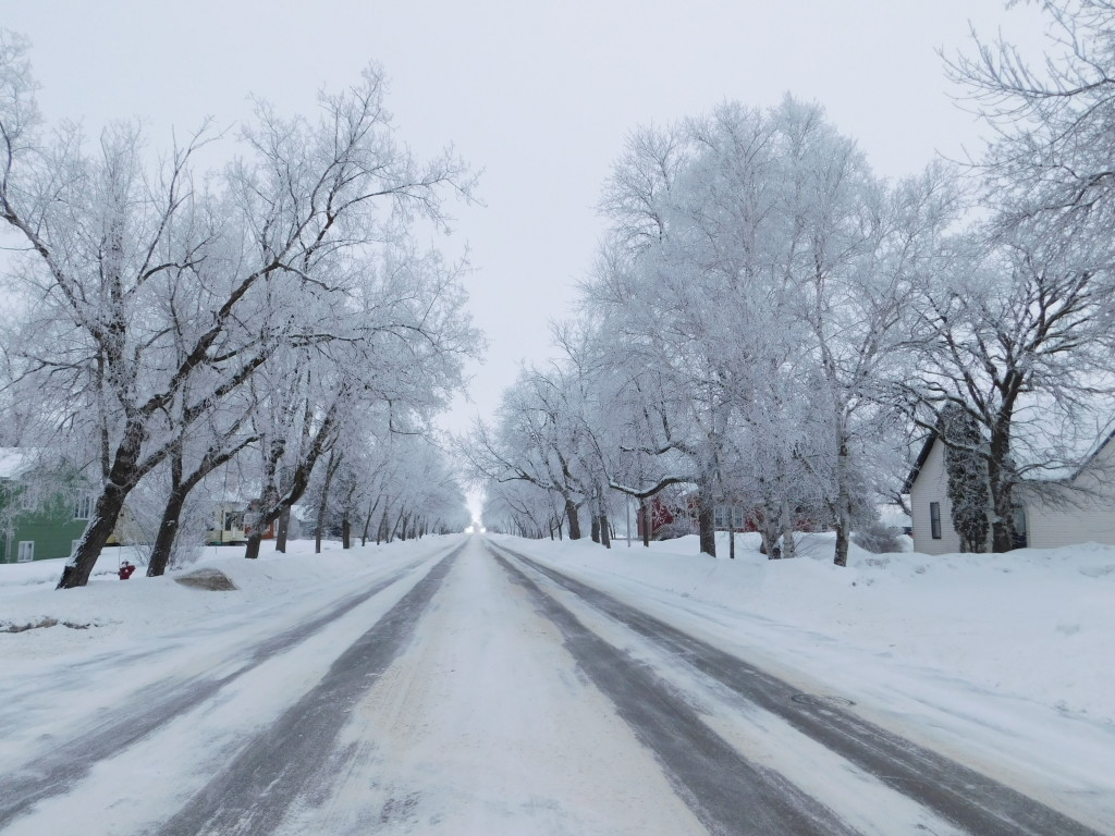 Warroad Lake Street in Winter